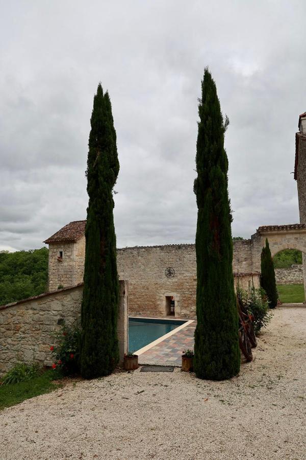 Chateau De Pleneselve Bon-Encontre Eksteriør bilde