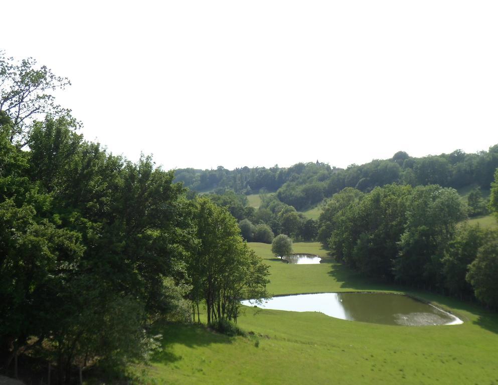 Chateau De Pleneselve Bon-Encontre Rom bilde